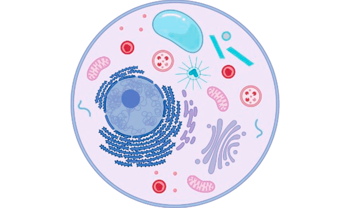 Fundamentos bioquímicos de la vida